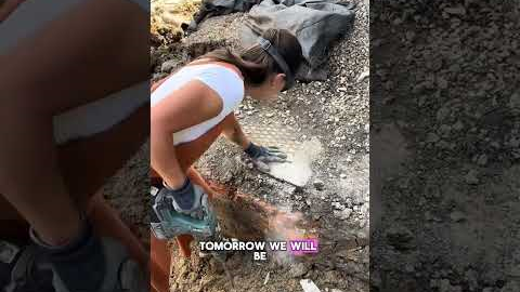 Renovation vlog 17 - fitting the new water pipe #auction #renovation #property #propertyladder