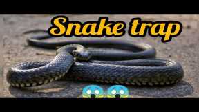 Build Underground Snake Trap Using Tires Car & PVC Pipe / JOHNCY MEDIA is live #live​ #livestream​