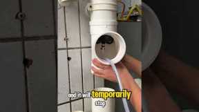 No Shutoff Needed: Repair Pipes While Water’s Still Running! #plumber #plumbing