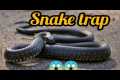 Build Underground Snake Trap Using