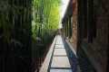 Backyard Garden Ideas #backyard