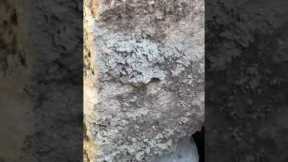 Foundation repairs —————-house leveling