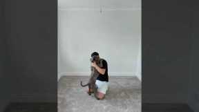 How to install a carpet like a pro #diy #how #carpets #construction #howto #stepbystep #renovation