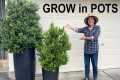 Container Gardening Tips: 5 Simple