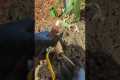 Outdoor Leak Repair: Cleaning and