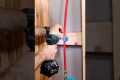Shower Water Supply Line Tips -