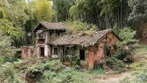 A Man Restored an Abandoned House and Created a Beautiful Garden in the Forest