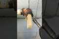 Remember this Plumbing Trick! How to