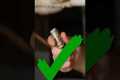 How to Quickly Repair Polybutylene