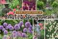 Top Tips for Planning & Planting