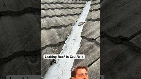 Fixing Roof Leak In Caulfield North | HolyMess Repairs #roofleaks #roofrepair