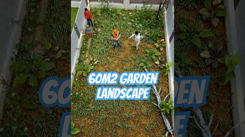 60m² Garden Landscape - Simple Tips for a Beautiful Backyard!