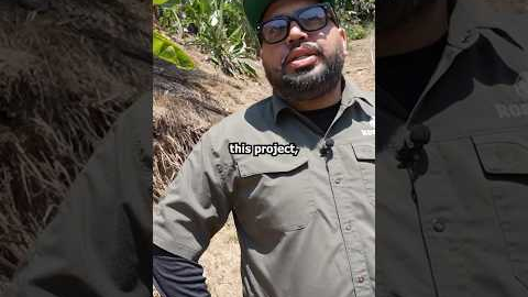 How I Remodeled This Kidney Pool!! #landscape #construction #contractor