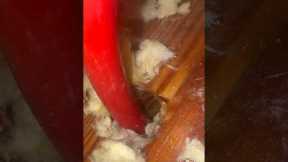 PEX Waterline Leak Repair