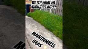 MAINTAINABLE IDEAS 💡 #garden #gardendesign #landscaping #gardenideas #landscape #viral #fyp #shorts