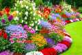 Most Beautiful Garden Tour 2026 |