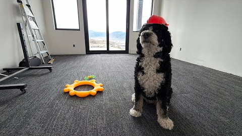 DIY Carpet Tiles: How We Installed Them