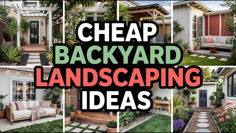 Genius Cheap Backyard Landscaping Ideas To Inspire You! Unlock Your Oasis