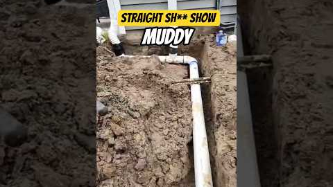 Lawn renovation after pool install #work #landscape #mess