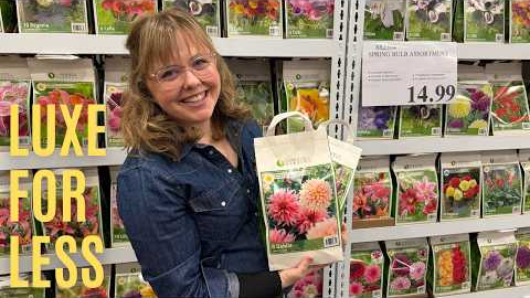 Costco Garden Design: Turning Budget Buys to Elevated Aesthetics ✨