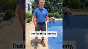 Vinyl, Gunite, or Fiberglass: Which Pool Costs Less? | Marquee Pools Explains