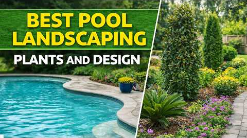 Best Plants for Pool Landscaping | Clean, Safe Backyard Pool Design