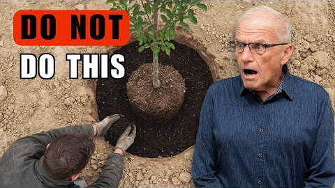 10 Landscaping Myths You Still Believe (Stop Doing These!)