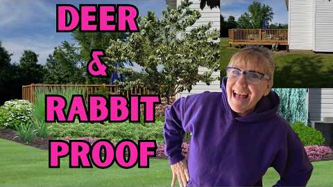  Landscape Design Ideas-Deer & Rabbit Resistant| Before & After