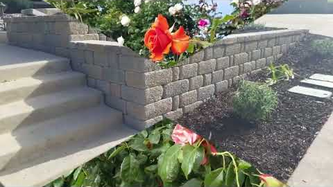 How to Design a Beautiful Front Yard: 10 Landscaping Tips That Work