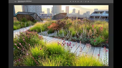 Arjan Boekel - Dutch Garden Design Star