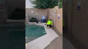 Artificial Turf Installation around the pool! #landscaping #landscape #gardendesign #turf #arizona
