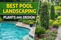 Best Plants for Pool Landscaping |