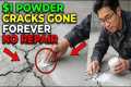 $1 Powder KILLED Cracks In Walls