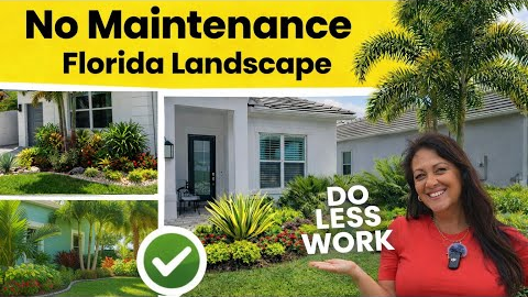 No-Maintenance Tropical Florida Landscapes That Looks Amazing