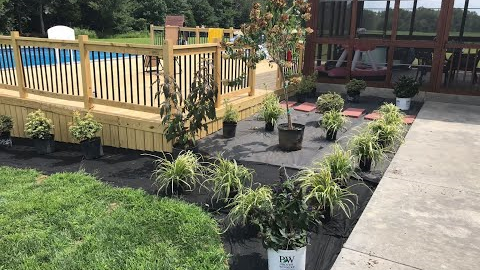 DIY Landscaping around a pool and deck