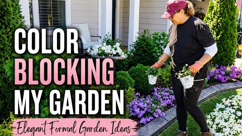 Color Blocking My Garden Beds 🌸| Elegant Formal Garden Design Ideas   4K