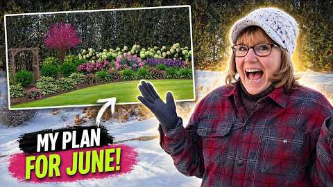 Landscape Design Ideas-The New Back No Till Bed Design