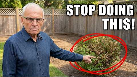 My 14 Most Valuable Landscaping Tips for ANY Garden