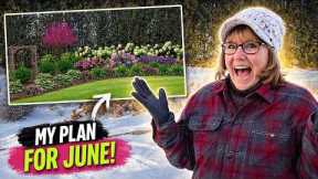 Landscape Design Ideas-The New Back No Till Bed Design