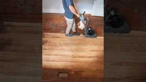 Refinishing 100 year old hardwood floors with character AKA damaged #polyurethane #woodflooring