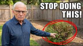 My 14 Most Valuable Landscaping Tips for ANY Garden