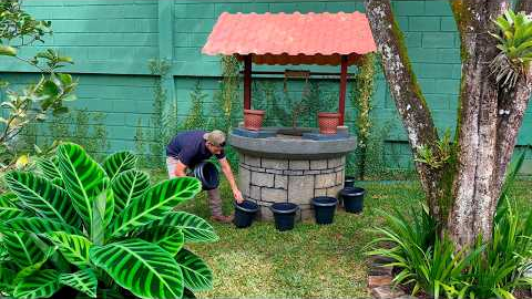 3 Must-See Ideas for Arranging Your Garden Plants!🪴