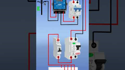 House Wiring Diagram // Single Phase House Wiring // House Wiring #shorts #shortsvideo