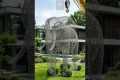 From Plants to Elephant Stunning