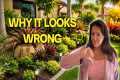 The #1 Garden Design Mistake Most