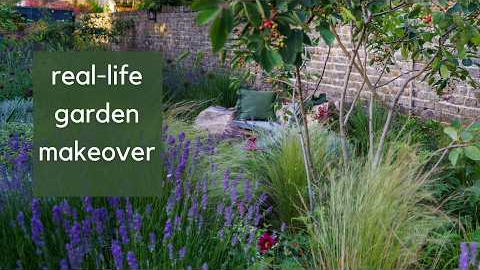 Narrow garden magic - how a garden designer transforms their own garden