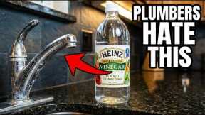 9 Things Plumbers Don't Want You to Know About White Vinegar