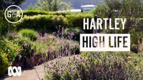 Hartley High Life | Garden Design | Gardening Australia