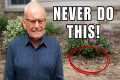 47 Years of Landscaping Advice in 15