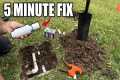 How to Repair a Water Line QUICK AND